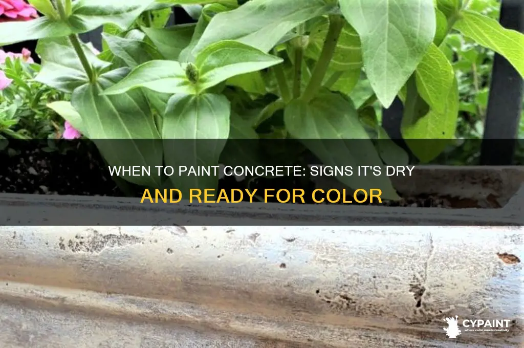 how to tell if concrete has dried enough to paint