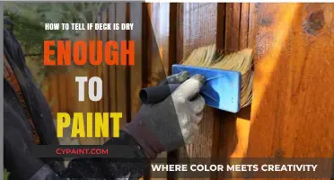 Is Your Deck Ready for Paint? Check These Signs First