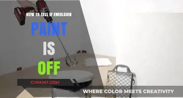 Is Your Emulsion Paint Bad? Signs to Check for Spoilage