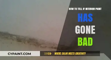 Spotting Bad Paint: Signs Your Interior Paint Has Gone Off