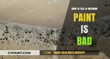 Identifying Bad Interior Paint: Signs, Smells, and Solutions for Fresh Walls