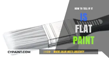 Identifying Flat Paint: Quick Tips for Spotting Matte Finishes Easily