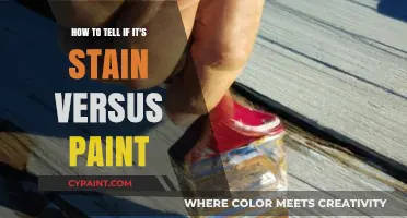 Differentiating Stains and Paints: A Quick Guide