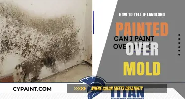 Spotting Hidden Mold: Signs Your Landlord Painted Over the Problem