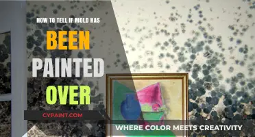 Uncover Hidden Mold: Paint Inspection Tips