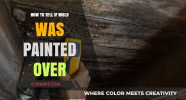 Detecting Hidden Mold: Signs of Paint Cover-Ups and Solutions