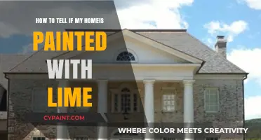 Spotting Lime Paint in Your Home