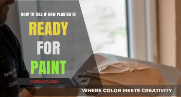 Is Your New Plaster Ready for Paint? Key Signs to Look For