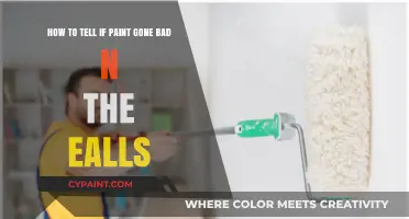 Signs Your Wall Paint Has Gone Bad: A Quick Guide