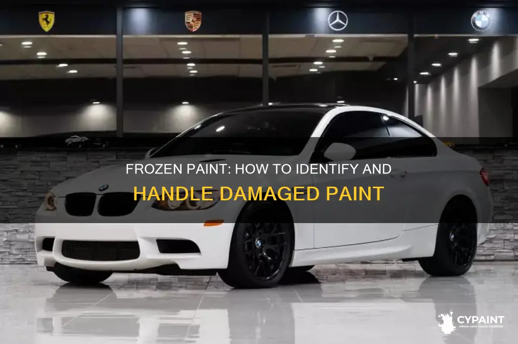 how to tell if paint has been frozen