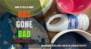 How to Identify Spoiled Paint: Signs and Solutions