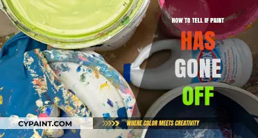How to Identify Spoiled Paint: Signs and Solutions for Fresh Coats