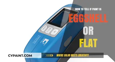 Spot Eggshell and Flat Paint Differences Like a Pro