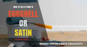 Differentiating Eggshell and Satin Paint: A Quick Guide
