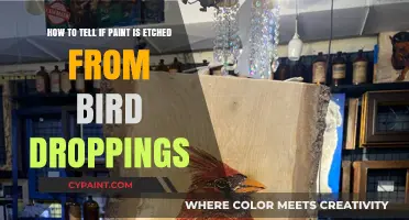 Identifying Etched Paint from Bird Droppings: A Comprehensive Guide