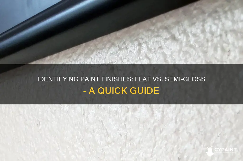 how to tell if paint is flat or semi gloss