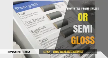 Gloss or Semi-Gloss: A Simple Guide to Identifying Paint Finishes
