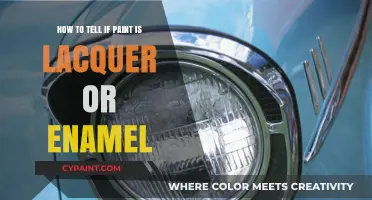 Differentiating Lacquer and Enamel Paints: A Quick Guide