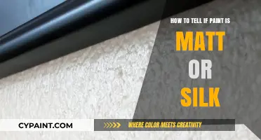 Spotting the Difference: Matt vs Silk Paint