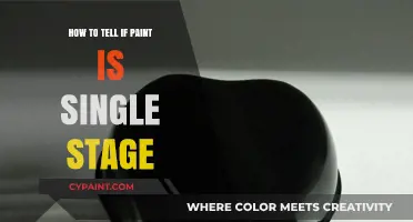 Identifying Single Stage Paint: A Quick and Easy Guide