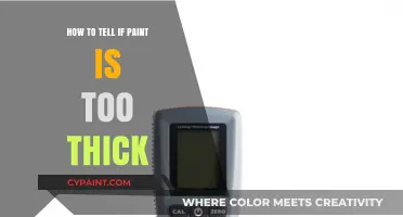 Is Your Paint Too Thick? Quick Tips to Check and Fix