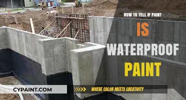 Is Your Paint Waterproof? A Quick Guide to Check
