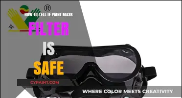 Ensuring Safety: Paint Mask Filters