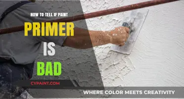 Is Your Paint Primer Bad? Signs to Look For