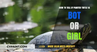 Identifying Painted Turtle Gender: Male or Female? A Simple Guide