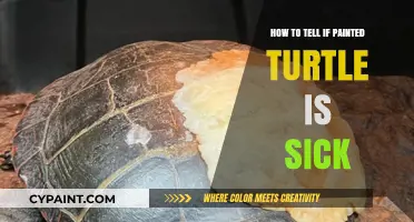Identifying Sickness in Painted Turtles: Key Signs and Symptoms