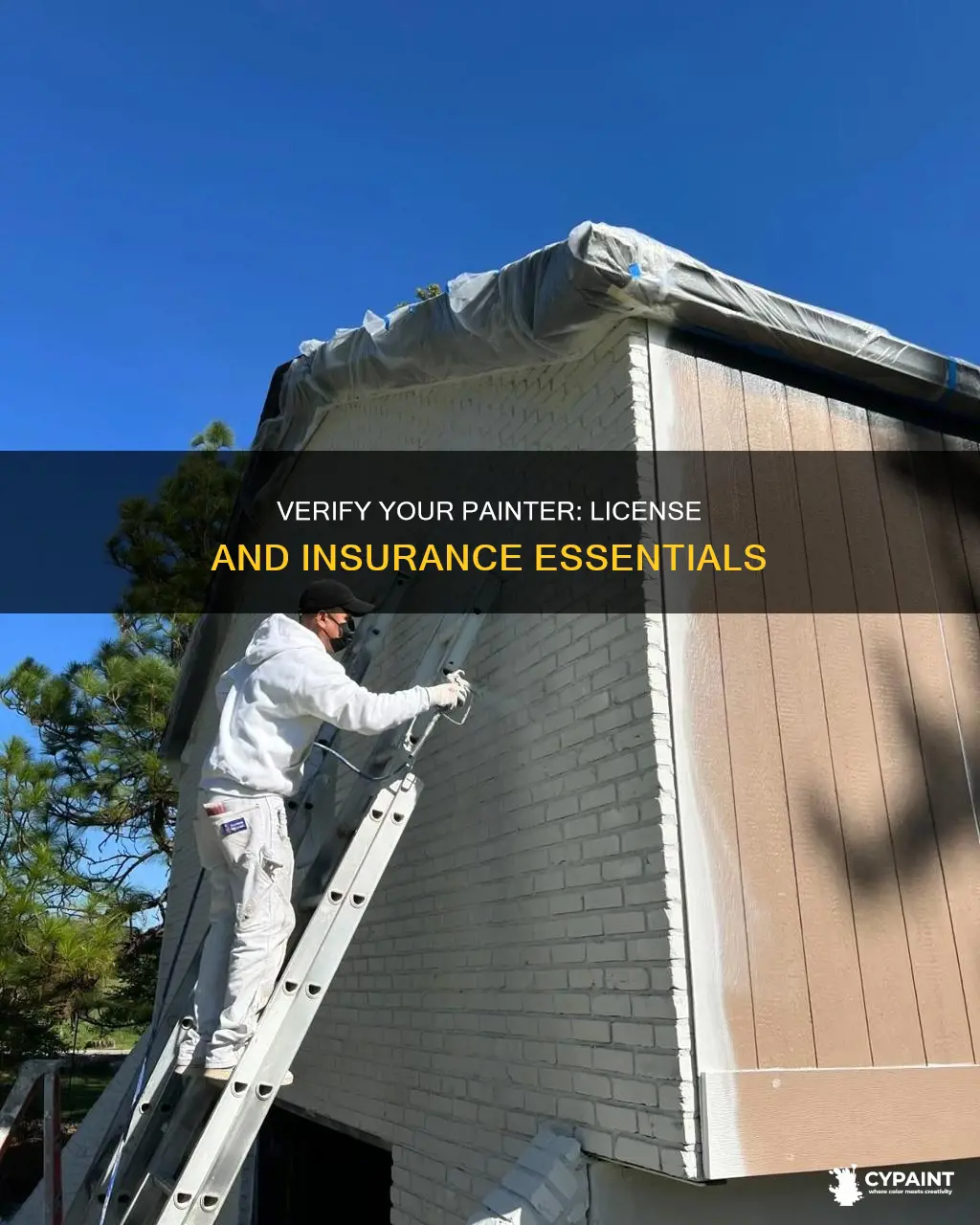 how to tell if painter is licensed and insured