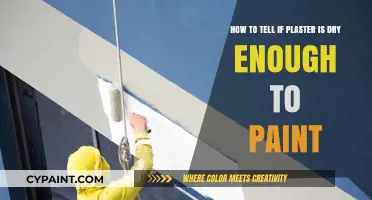 Is Your Plaster Ready? Signs It's Dry Enough to Paint