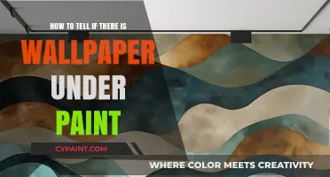 Uncover Hidden Wallpaper: Paint and Wallpaper Secrets