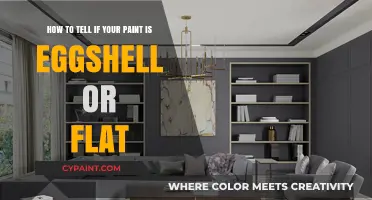 Eggshell vs. Flat Paint: How to Identify Your Wall Finish