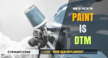 Identifying DTM Paint: A Comprehensive Guide for Accurate Detection