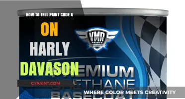 Harley Paint Code: How to Identify Your Bike's Color