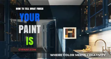 Identifying Paint Finishes: A Guide to Sheen and Texture Types