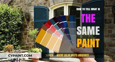 Identifying Matching Paint Colors: Tips and Tricks for Perfect Matches