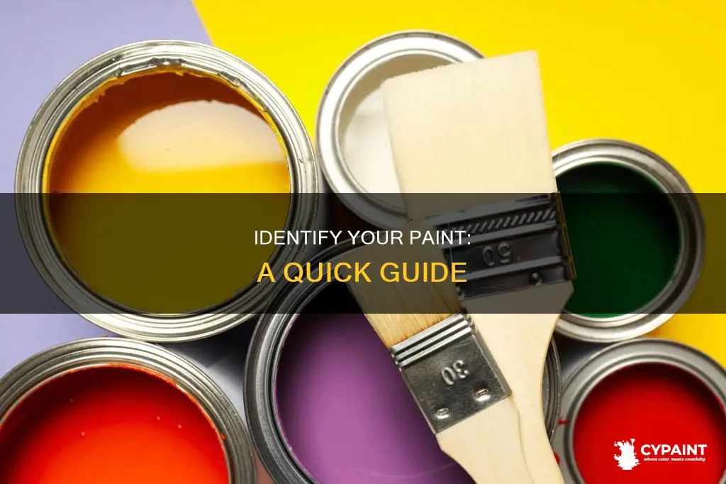 how to tell what type of paint you have
