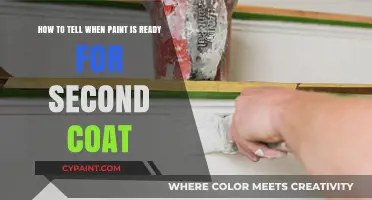 Perfect Timing: Signs Your Paint is Ready for a Second Coat