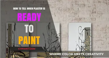 Plaster Prep: When is it Paint-Ready?