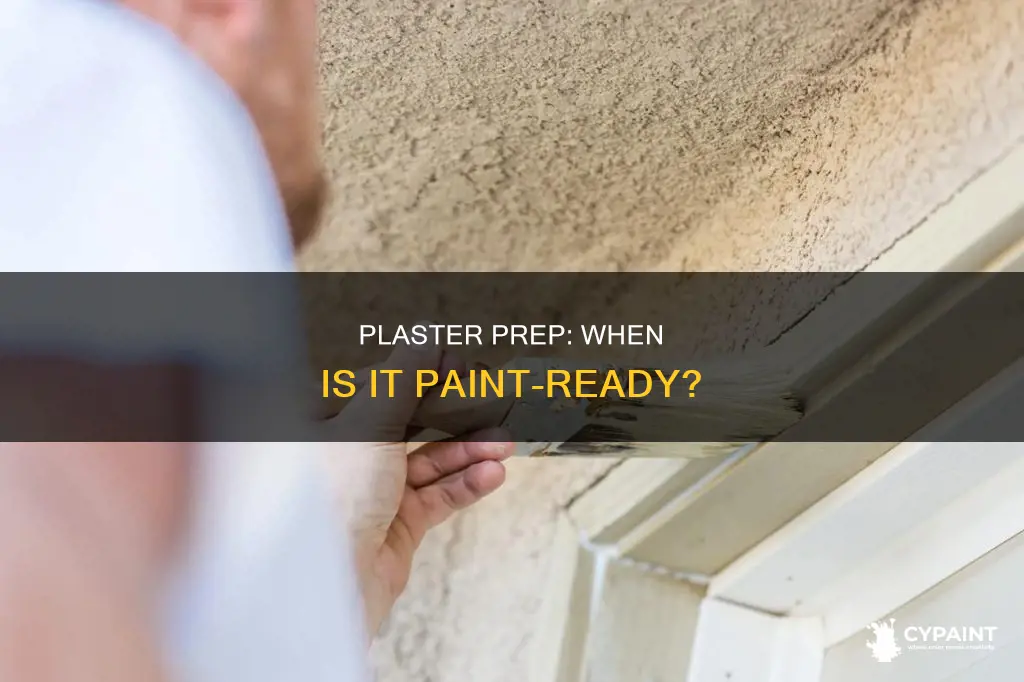 how to tell when plaster is ready to paint