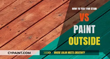 Stain or Paint: Testing Exterior Finishes for Durability and Look