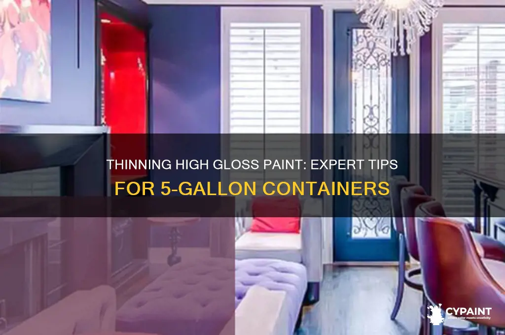 how to thin high gloss paint in 5 gallon containers