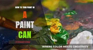 Effective Techniques for Thinning Paint in a Paint Can