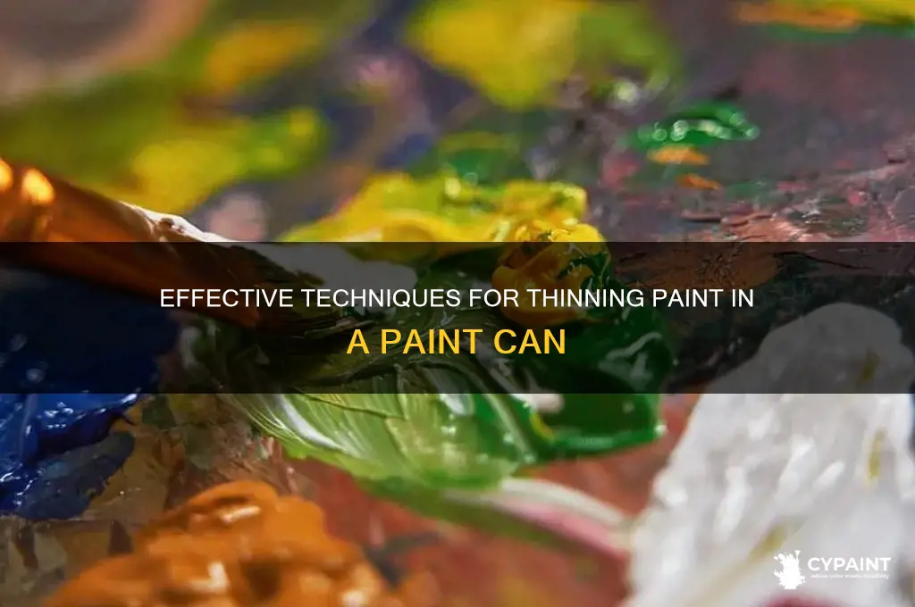 how to thin paint in a paint can