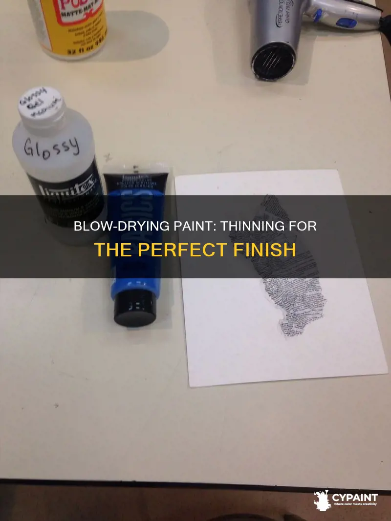 how to thin paint to move with bliw dryer