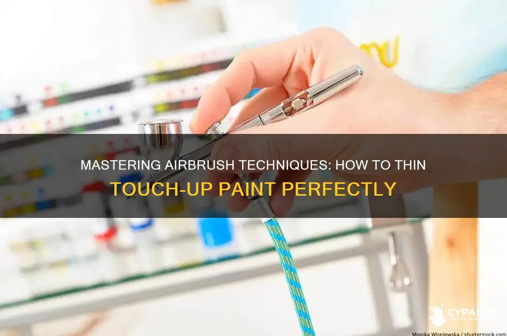 how to thin touch up paint for airbrush