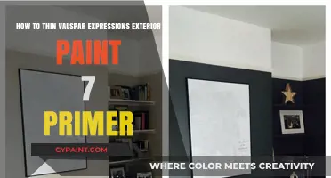 Thinning Valspar Expressions: The Ultimate Guide