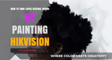 Time-Lapse Painting: A Hikvision Guide